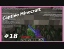【Minecraft】 #18 ただスケルトンを斬る 【Captive Minecraft】