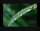 雫 (202212) / ただの　ぼく
