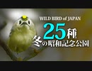 野鳥の名前25種　#昭和記念公園　#野鳥図鑑 　#身近な生き物語