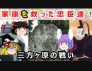 【どうする家康】徳川家康最大の危機を救った、家臣たちに迫れ！！【ゆっくり解説】