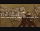 パンツァードラグーンORTA Anu Orta Veniya