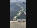 Jul.2018 ロシア　ウラジオストク　海軍記念日　現地ツアーガイド、在ウラジオストク日本国総領事館領事班から許可を得て撮影　その3