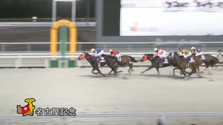 第26回名古屋記念 メルト