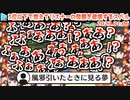 【視聴注意】マリカーで負けて増殖して人間音響兵器になる大空スバル