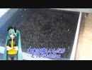 【素人養蜂　Part79】予想外の事態です