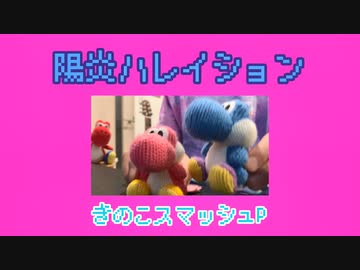 【アコギ＋】初音ミク「陽炎ハレイション」を弾きました