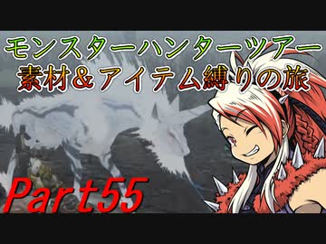 【ゆっくりモンハン】モンスターハンターツアー素材＆アイテム縛りの旅　part55【MHP2G】