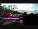 変なおじさんとこの　鶏さん３７３　須ノ川海岸で矮鶏子さんと過ごす