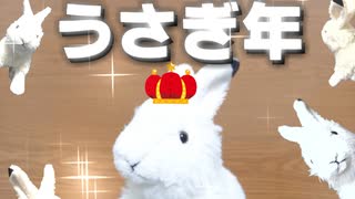 うさぎ年カンタービレ