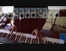 【ピアノ】スパイダーのテーマ【弾いてみた】