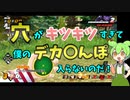 【ドラゴンボールザブレイカーズ】最後まであきらめないメスガキちゃんは悪の帝王をわからせたい【ずんだもん】