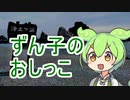ずんだもん「ずん子の おしっこ！」