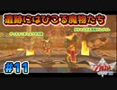 【ゼルダの伝説スカイウォードソード】空と大地と時々姫と_Part11【実況】