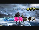 GOD OF WAR【RAGNAROK】プレイ動画＃ヴァルキュリア戦