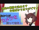 【ソフトウェアトーク劇場】あかりがカメラを持ってきた 2023年1月第2週