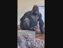これが珍味なんだよぉ！