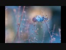 [TRANCE] Mixed by aki 2023/01/08