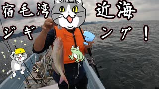 宿毛湾近海ジギング！