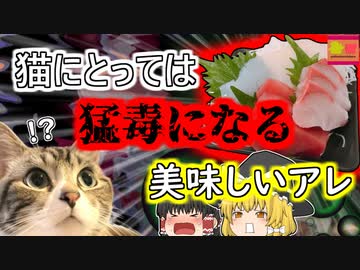 【2004年岩手】人間にとっては健康的 しかし猫にとっては猛毒になってしまうあの食べ物…『ビタミンB1欠乏症』【ゆっくり解説】