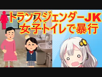 トランスジェンダーJK（男）トイレでトラブルになり、女性をボコボコにしてしまう…