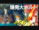 ゲール砦に侵入して探索したりライオン丸と戯れたり橋渡りを強行したりします【初見】エルデンリング実況／盗賊王物語【オフライン】#56