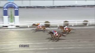 2023年1月8日高知競馬2R 八畳岩特別(準重賞・C級以下) ガラデレオン