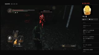 【DARK SOULS II】闇霊　肉断ちのマリダ（めるなま録画）