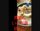 煮物にいそ松葉欲しい生き残りをかけて戦う煮物食い違った死に物狂い