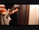 【原神】海灯祭の曲を弾いてみた【胡桃BB】