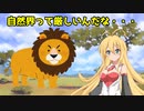 マキちゃんと動物番組