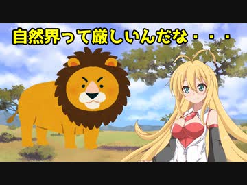 マキちゃんと動物番組