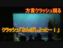 【方言クラッシュ】なんばしよっとー！【タートルトーク】東京ディズニーシー
