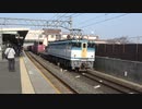 【キャー】EF65 2127牽引5087レ島本通過(20230109)【カラシサーン】