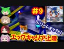 [DC]ソニックアドベンチャーで遊ぶ[SEGA]#9