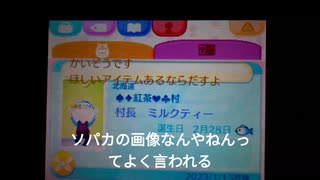 3DS　改造　とびだせ！どうぶつの森　