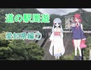 【COEIROINK車載】愛知県道の駅周遊⑦鳳来三河三石～宇連ダム【原付２種】