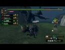 【MHP2G】やみなべXlinkKai【リオレウス亜種】