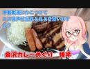 【ボイロ車載 CX-30】車載動画にかこつけてエロ音声作品あるあるを言います#8【金沢カレーめぐり後半】