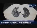 ・「白肺」で大量死、一家全員死亡も・製薬工場で数千人が抗議・交通機関の利用回数は21億・病院は重症患者で満員・火葬場を増設 ・ジャックマーはどこに？ 経営権を放棄へ