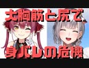 【コメ付き】大胸筋と尻で身バレしそうになるノエル団長とマリン船長【ホロライブ切り抜き】