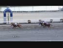 2023年1月9日高知競馬1R じいちゃん協賛 祝！瑛太成人特別(3歳-3組) カンタベリーガール