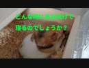 あお向けになって寝る