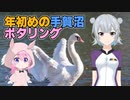 年初めの手賀沼ポタリング