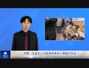 中国、大型チップ投資計画を一時的に中止