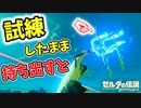 ARMSで一撃の試練を継続させたまま台地外に一撃の剣を持ち出すと…【ブレワイ BotW】裏技 バグ 検証 ゆっくり実況 glitch