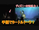 【ディズニーすごい】手話でタートルトーク！【タートルトーク】東京ディズニーシー