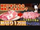 肉、10000回筋切ってみた