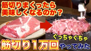 肉、10000回筋切ってみた