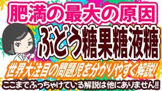 肥満の最大の原因「ぶどう糖果糖液糖」超分かりやすく＆ぶっちゃけて解説！