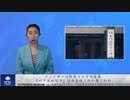 ファイザーの新型コロナ内服薬「パクスロビド」は命を救うのか奪うのか